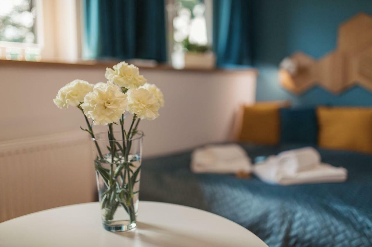 Apartamenty Szaron 250 M Do Kortow Tenisowych I Bulwarow Wislanych - Dream Apart Ustroń Esterno foto